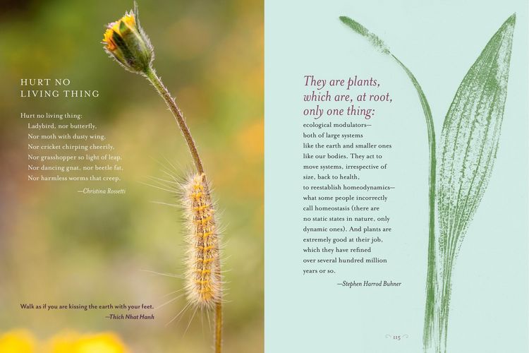Produktbild: The Generosity of Plants