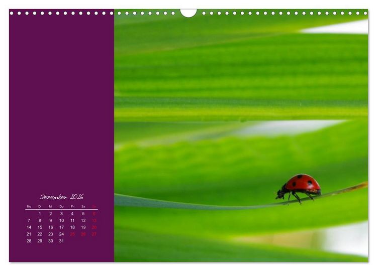 Produktbild: Momente des Gl&uuml;cks (Wandkalender 2026 DIN A3 quer), CALVENDO Monatskalender
