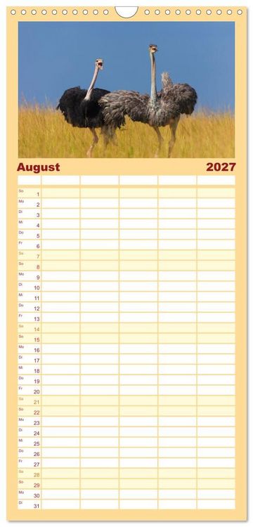 Produktbild: Familienplaner 2027 - Afrika Wildlife-Fotografien mit 5 Spalten (Wandkalender, 21 x 45 cm) CALVENDO