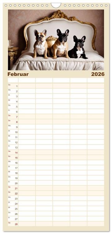 Produktbild: Familienplaner 2026 - Kleine K&ouml;nige - Franz&ouml;sische Bulldoggen mit 5 Spalten (Wandkalender, 21 x 45 cm) CALVENDO