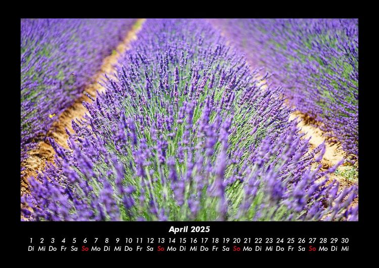 Produktbild: Blumentr&auml;ume 2025 Fotokalender DIN A3