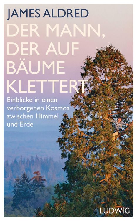 Produktbild: Der Mann, der auf B&auml;ume klettert