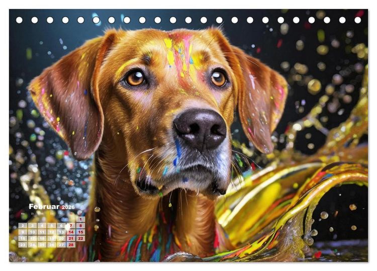 Produktbild: Splash - Hunde im Farbrausch (Tischkalender 2026 DIN A5 quer), CALVENDO Monatskalender