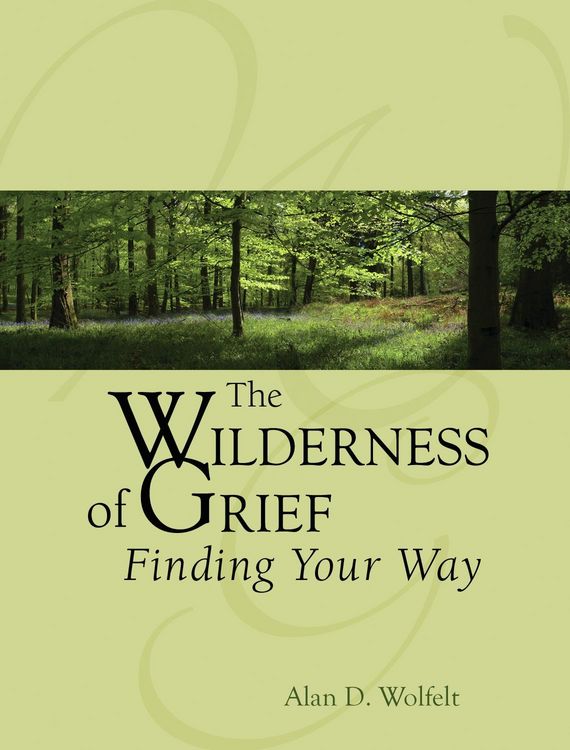 Produktbild: The Wilderness of Grief : Finding Your Way