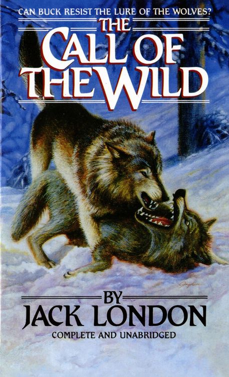 Produktbild: The Call of the Wild