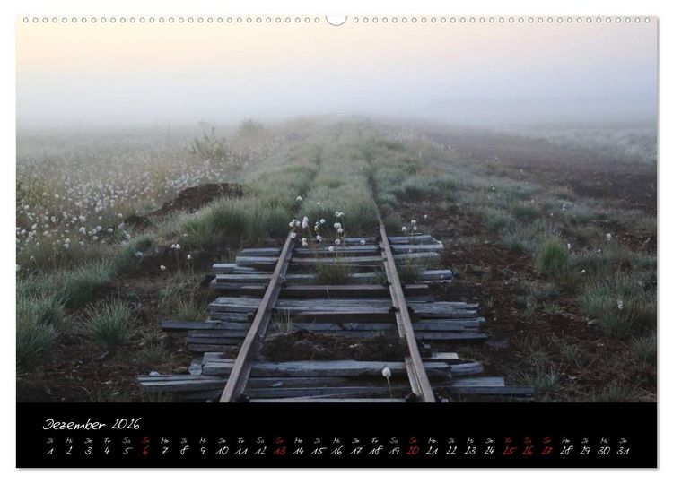 Produktbild: Im Goldenstedter Moor (Wandkalender 2026 DIN A2 quer), CALVENDO Monatskalender