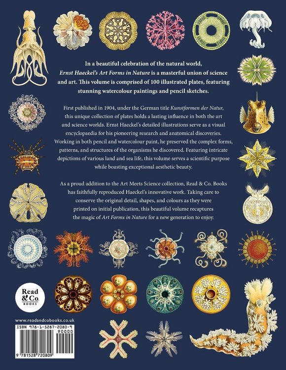 Produktbild: Ernst Haeckel's Art Forms in Nature