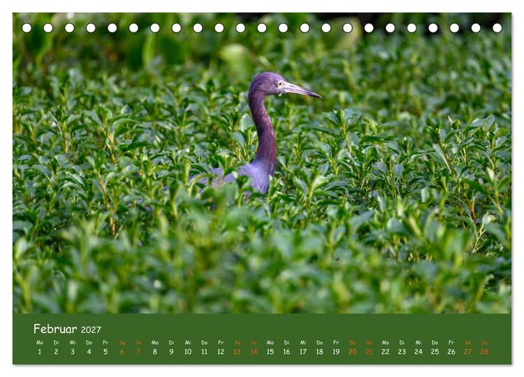 Produktbild: Costa Rica - Naturparadies zwischen Karibik und Pazifik (Tischkalender 2027 DIN A5 quer), CALVENDO Monatskalender