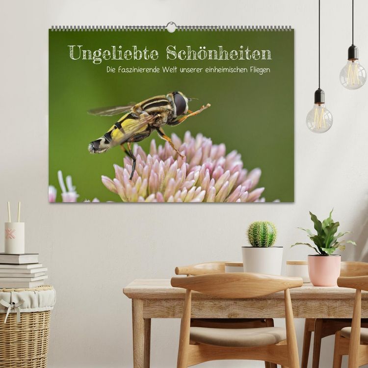 Produktbild: Ungeliebte Sch&ouml;nheiten - die faszinierende Welt unserer heimischen Fliegen (Wandkalender 2026 DIN A2 quer), CALVENDO Monatskalender