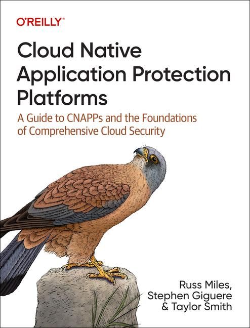 Produktbild: Cloud Native Application Protection Platforms
