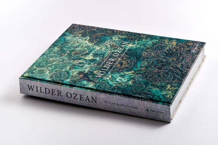 Produktbild: Wilder Ozean
