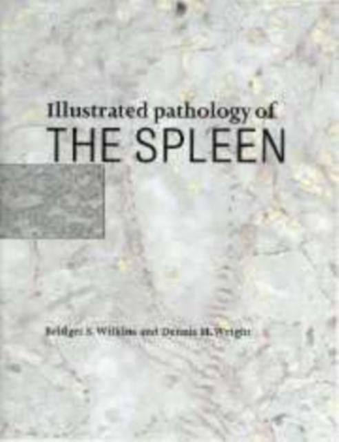 Produktbild: Illustrated Pathology of the Spleen