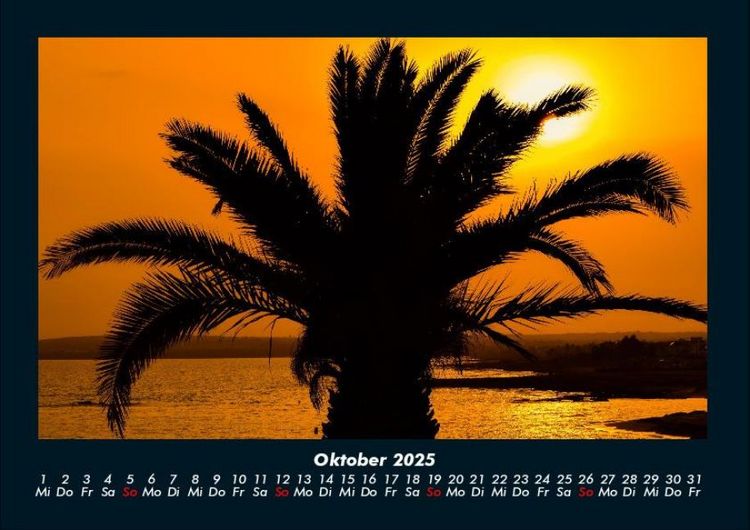 Produktbild: Palmentraum 2025 Fotokalender DIN A4