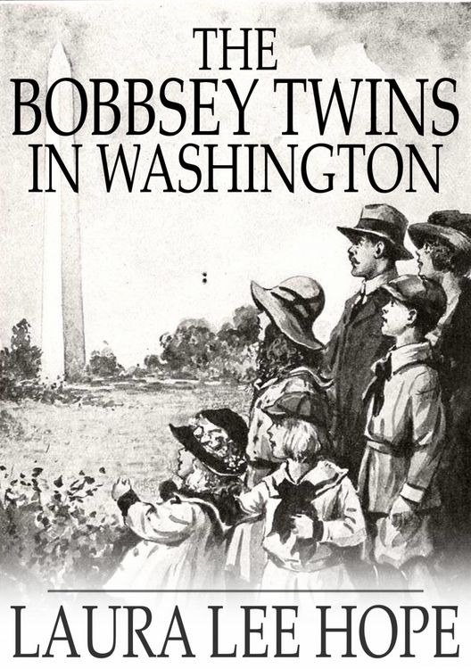 Produktbild: Bobbsey Twins in Washington