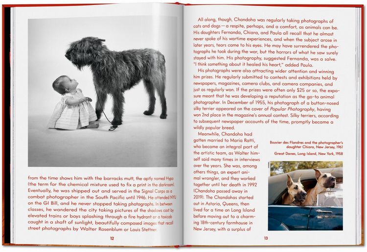 Produktbild: Walter Chandoha. Dogs. Photographs 1941&ndash;1991