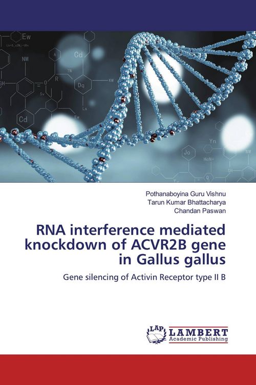 Produktbild: RNA interference mediated knockdown of ACVR2B gene in Gallus gallus