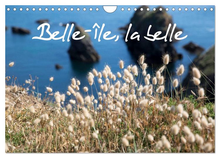 Produktbild: Belle-&Icirc;le, la belle (Calendrier mural 2026 DIN A4 vertical), CALVENDO calendrier mensuel