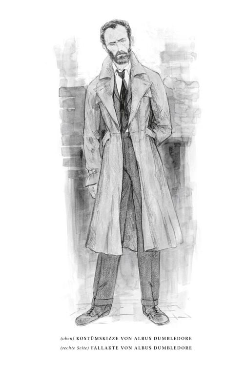 Produktbild: Phantastische Tierwesen: Dumbledores Geheimnisse (Das Originaldrehbuch)