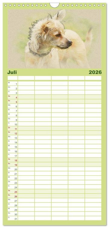 Produktbild: Familienplaner 2026 - Chihuahuas 2026 mit 5 Spalten (Wandkalender, 21 x 45 cm) CALVENDO
