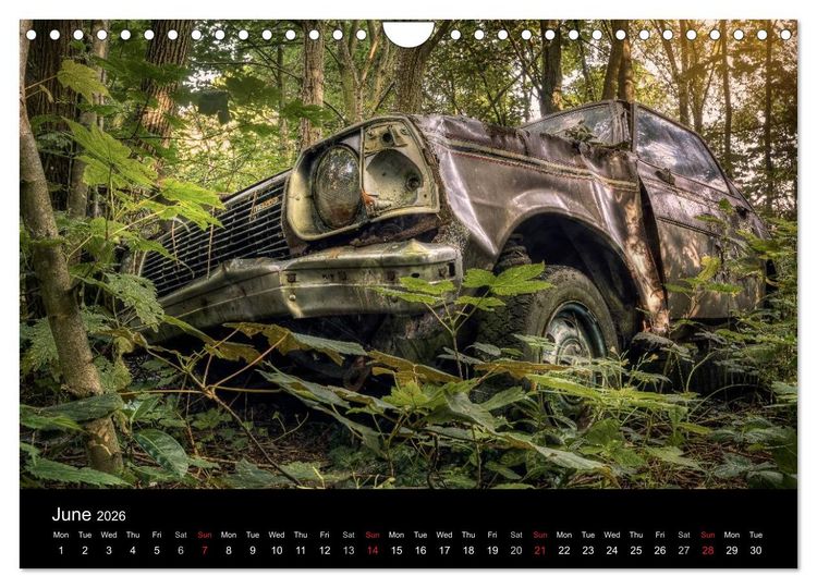 Produktbild: Sleeping Beauties Old Rusty Cars (Wall Calendar 2026 DIN A4 landscape), CALVENDO 12 Month Wall Calendar
