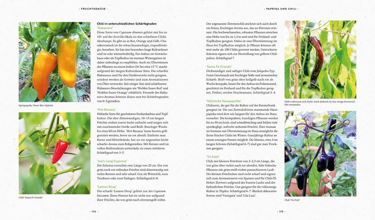 Produktbild: Mein Biogem&uuml;se-Garten