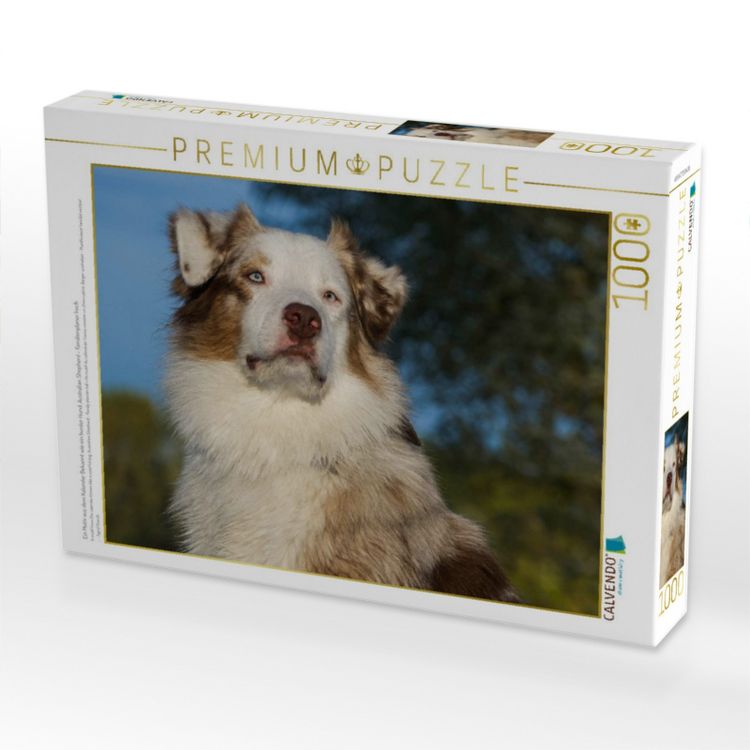 Produktbild: CALVENDO Puzzle Ein Motiv aus dem Kalender Bekannt wie ein bunter Hund. Australian Shepherd - Familienplaner hoch | 1000 Teile Lege-Gr&ouml;&szlig;e 64x48cm Foto