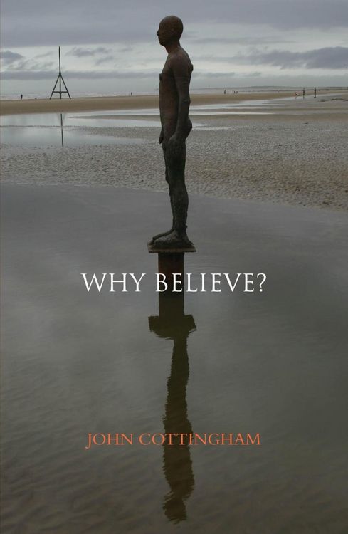 Produktbild: Why Believe?