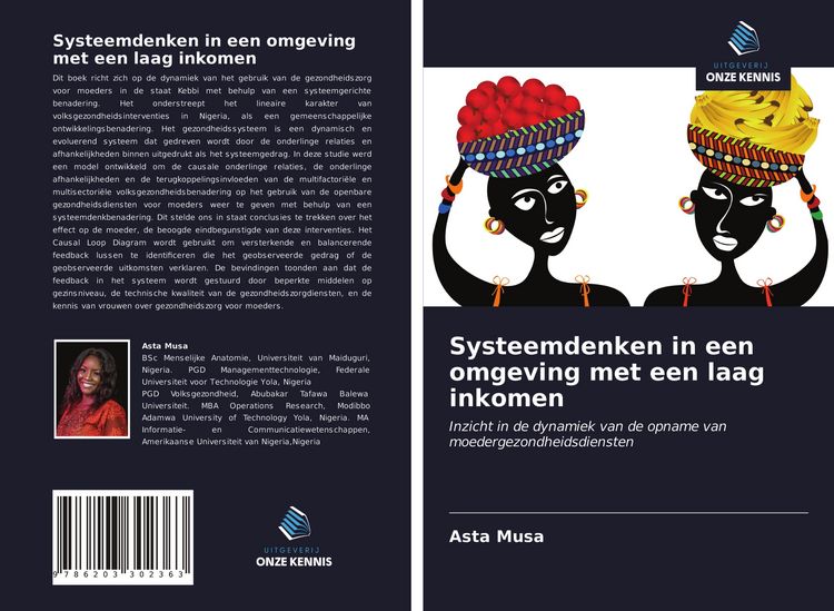 Produktbild: Systeemdenken in een omgeving met een laag inkomen