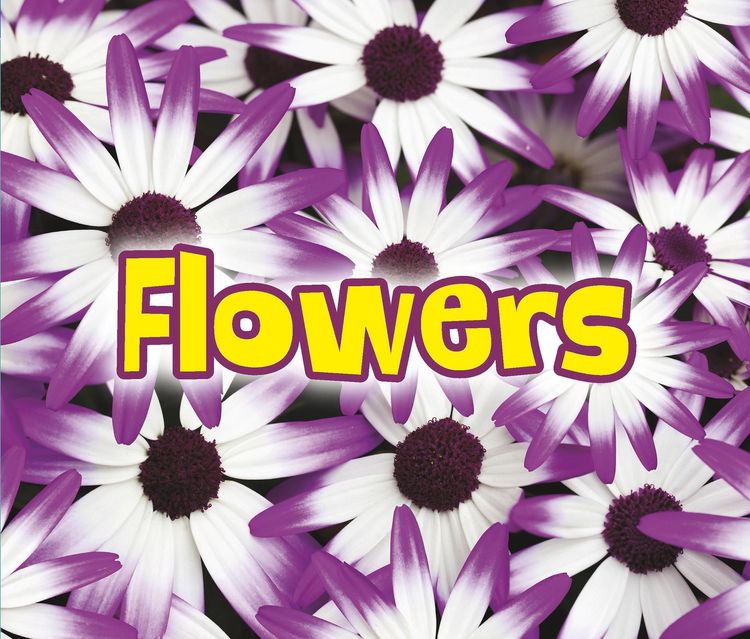 Produktbild: All About Flowers