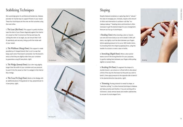 Produktbild: Ikebana Unbound