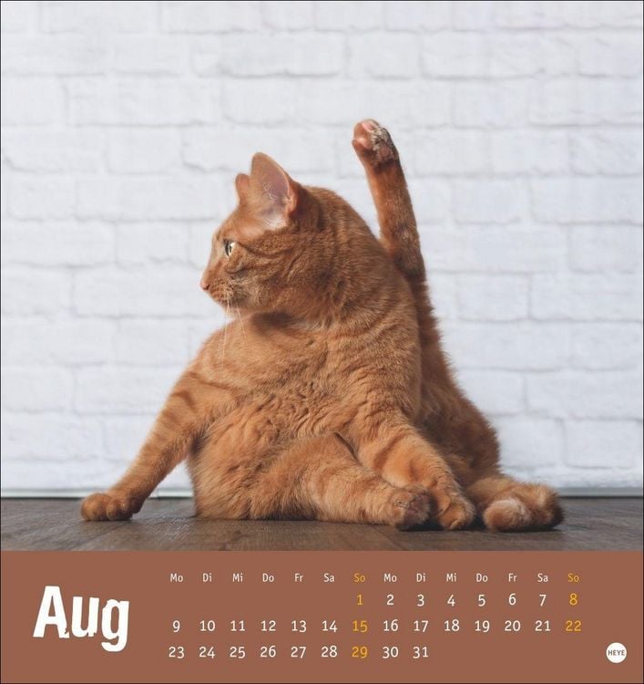 Produktbild: Tierisch entspannte Katzen Postkartenkalender 2027