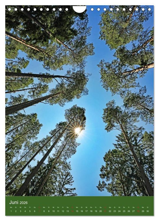 Produktbild: Schwarzwald Nord (Wandkalender 2026 DIN A4 hoch), CALVENDO Monatskalender