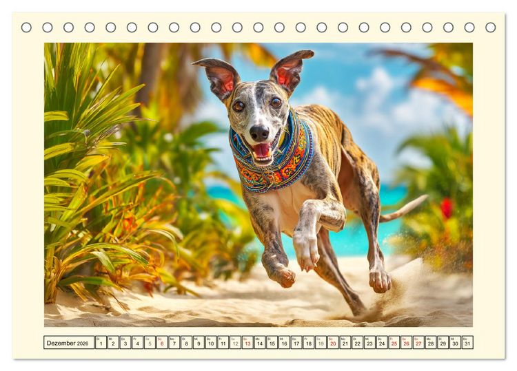 Produktbild: Whippet Wunder. Grazile Hunde mit sanfter Kraft und feiner Seele (Tischkalender 2026 DIN A5 quer), CALVENDO Monatskalender