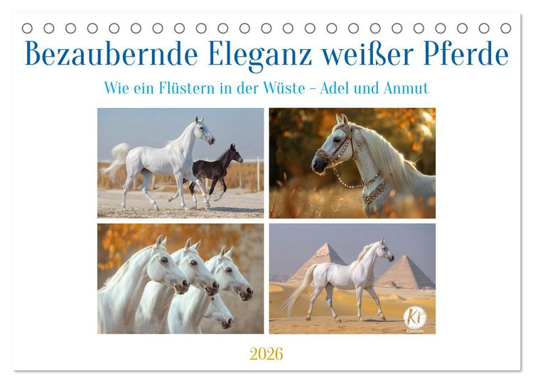 Produktbild: Bezaubernde Eleganz wei&szlig;er Pferde (Tischkalender 2026 DIN A5 quer), CALVENDO Monatskalender