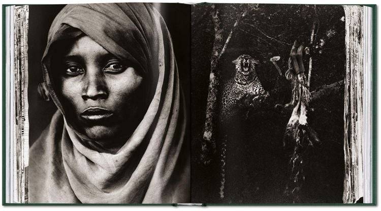 Produktbild: Peter Beard