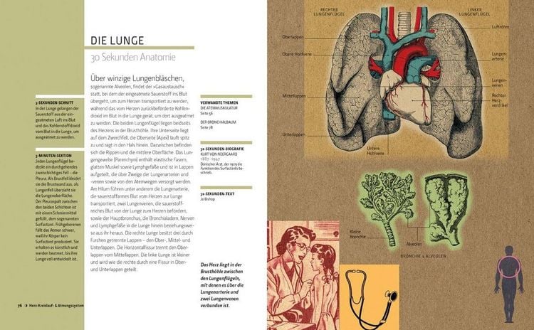 Produktbild: Anatomie in 30 Sekunden