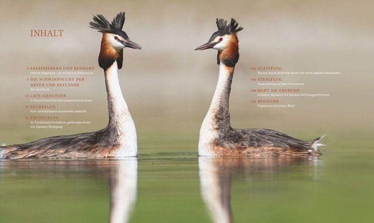 Produktbild: Unsere einzigartige Vogelwelt