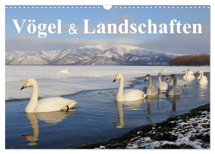 Produktbild: V&ouml;gel & Landschaften (Wandkalender 2026 DIN A3 quer), CALVENDO Monatskalender