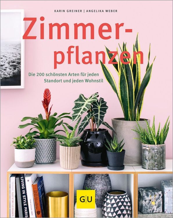 Produktbild: Zimmerpflanzen