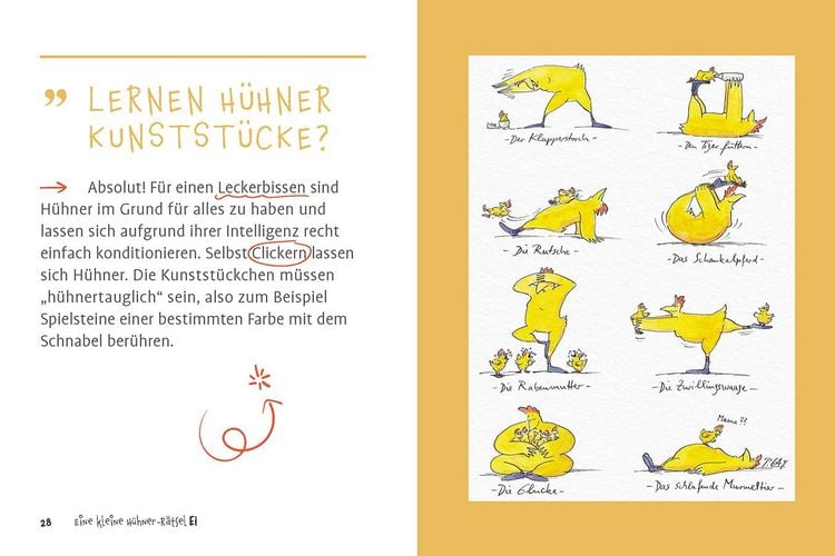 Produktbild: Eine kleine H&uuml;hner-R&auml;tselEI