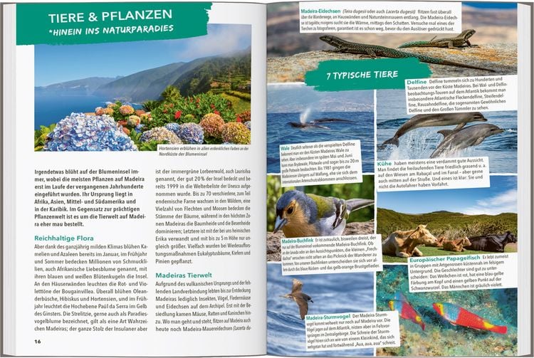 Produktbild: MARCO POLO OUTDOOR GUIDE Reisef&uuml;hrer Madeira