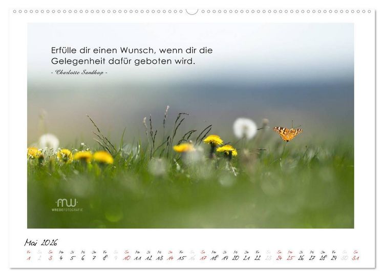 Produktbild: Gedanken... Bildkalender mit Spr&uuml;chen (Wandkalender 2026 DIN A2 quer), CALVENDO Monatskalender