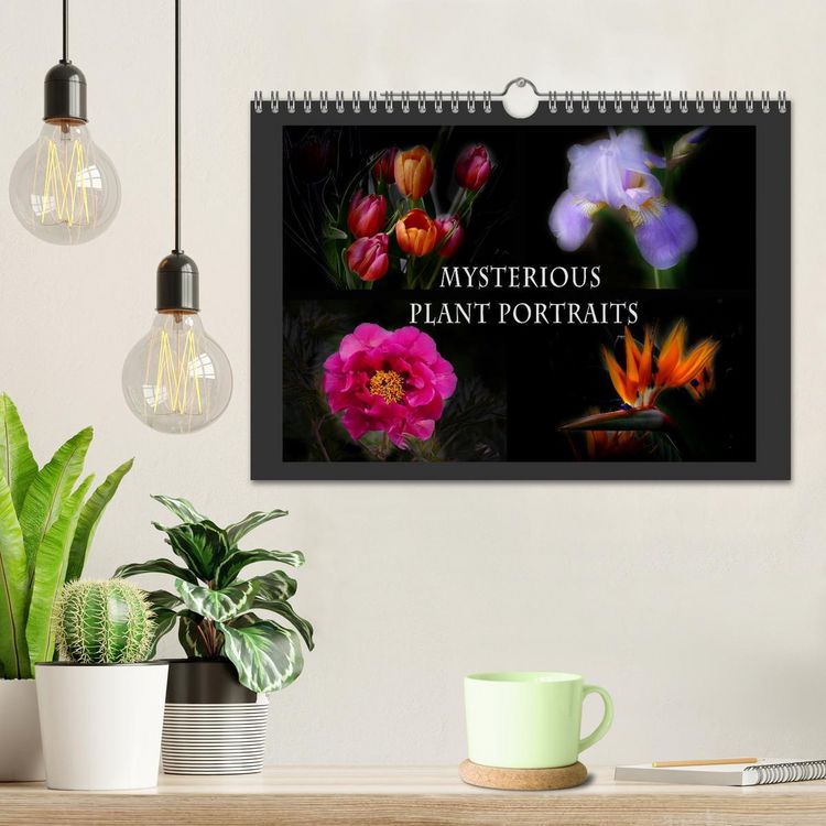 Produktbild: Mysterious plant portraits (Wall Calendar 2026 DIN A4 landscape), CALVENDO 12 Month Wall Calendar