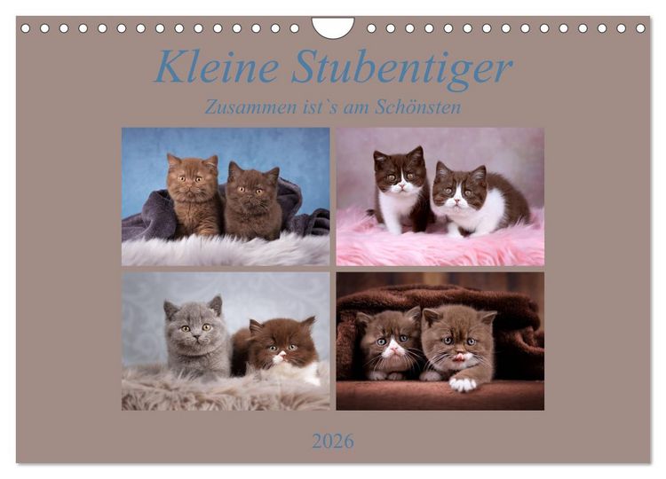 Produktbild: Kleine Stubenstiger (Wandkalender 2026 DIN A4 quer), CALVENDO Monatskalender