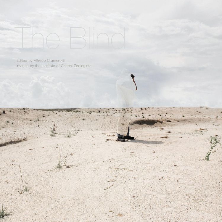 Produktbild: The Blind