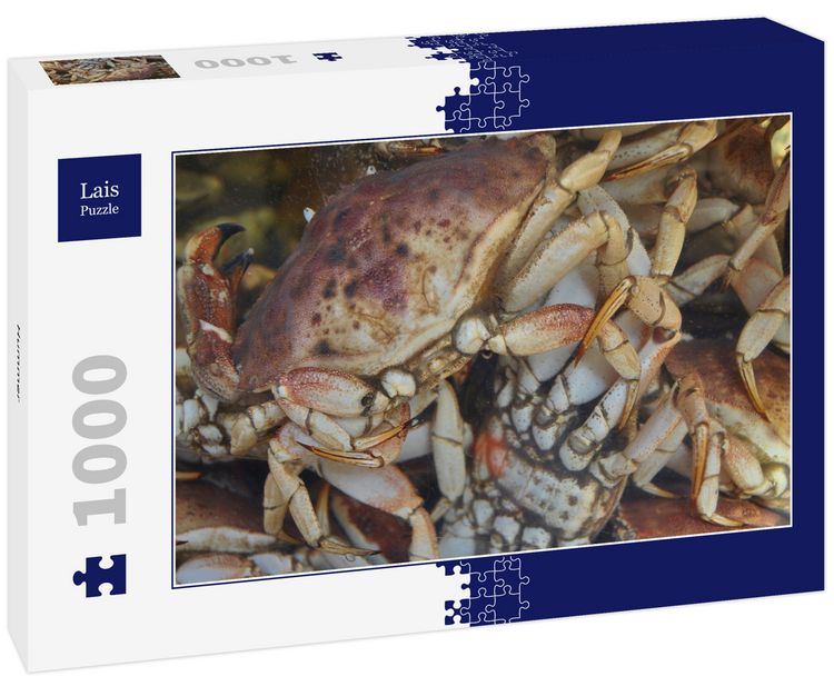 Produktbild: Lais Puzzle Hummer 1000 Teile