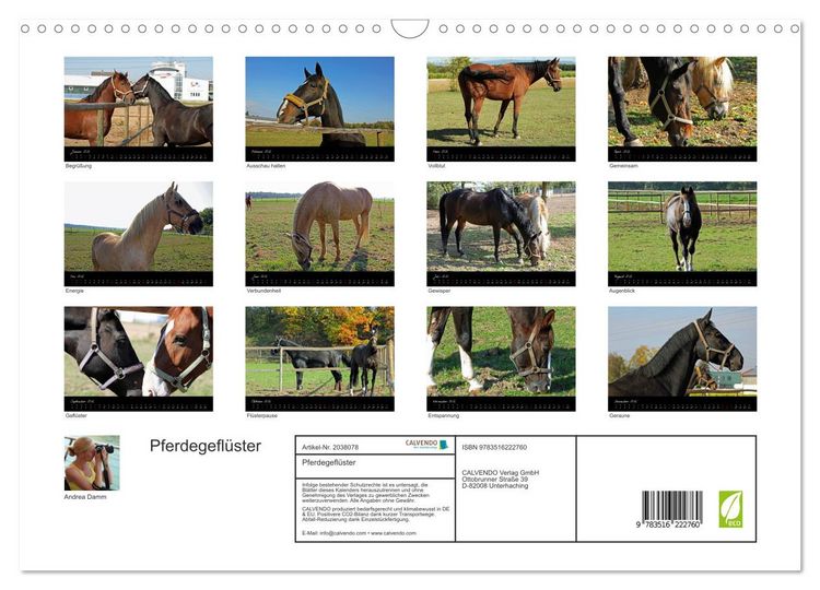 Produktbild: Pferdegefl&uuml;ster (Wandkalender 2026 DIN A3 quer), CALVENDO Monatskalender
