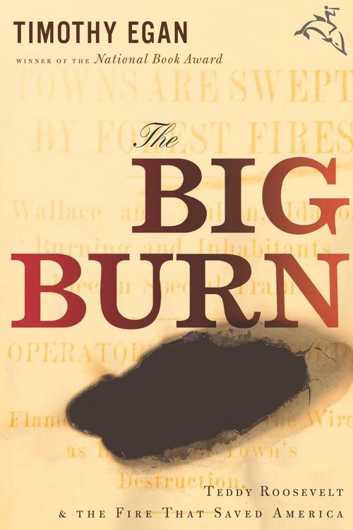 Produktbild: Big Burn
