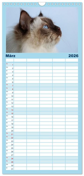 Produktbild: Familienplaner 2026 - Heilige Birma Katzen Kalender mit 5 Spalten (Wandkalender, 21 x 45 cm) CALVENDO