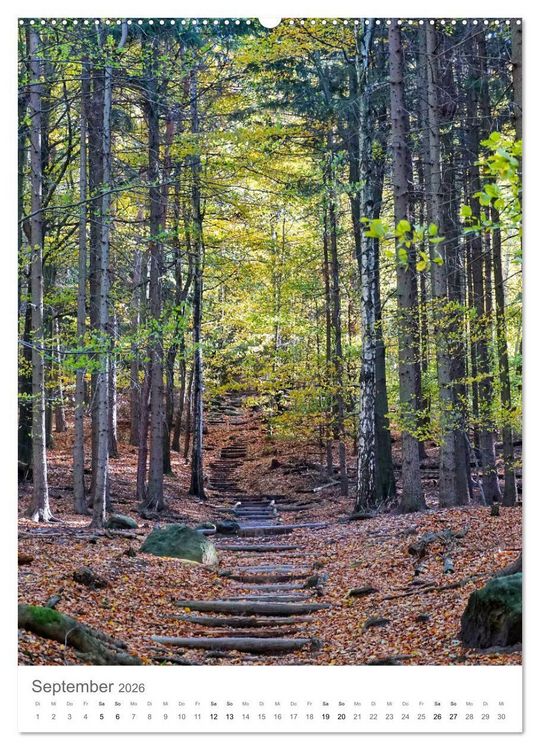 Produktbild: Wald - bezaubernde Landschaften (Wandkalender 2026 DIN A2 hoch), CALVENDO Monatskalender